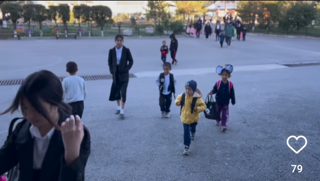 Бір күндік тыныс - тіршілік